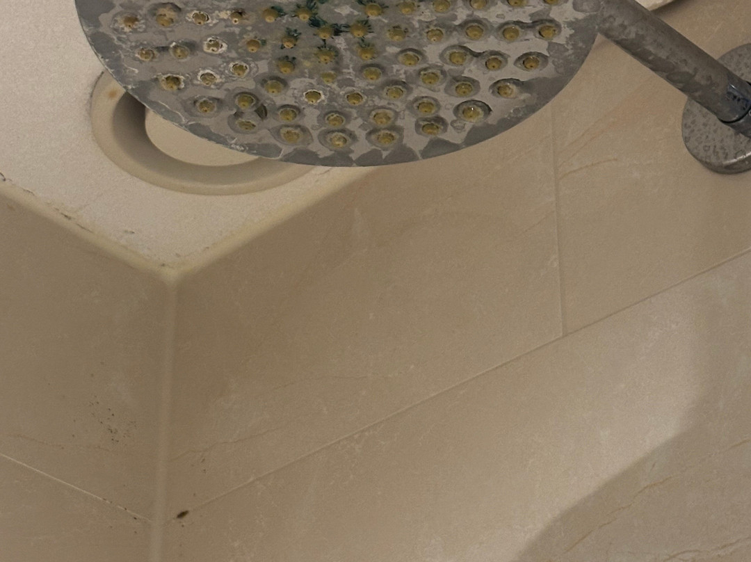 阿姆斯特丹竞技场OZO酒店主图