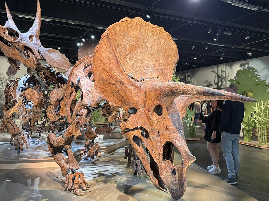 Naturalis Biodiversity Center-莱顿必去景点