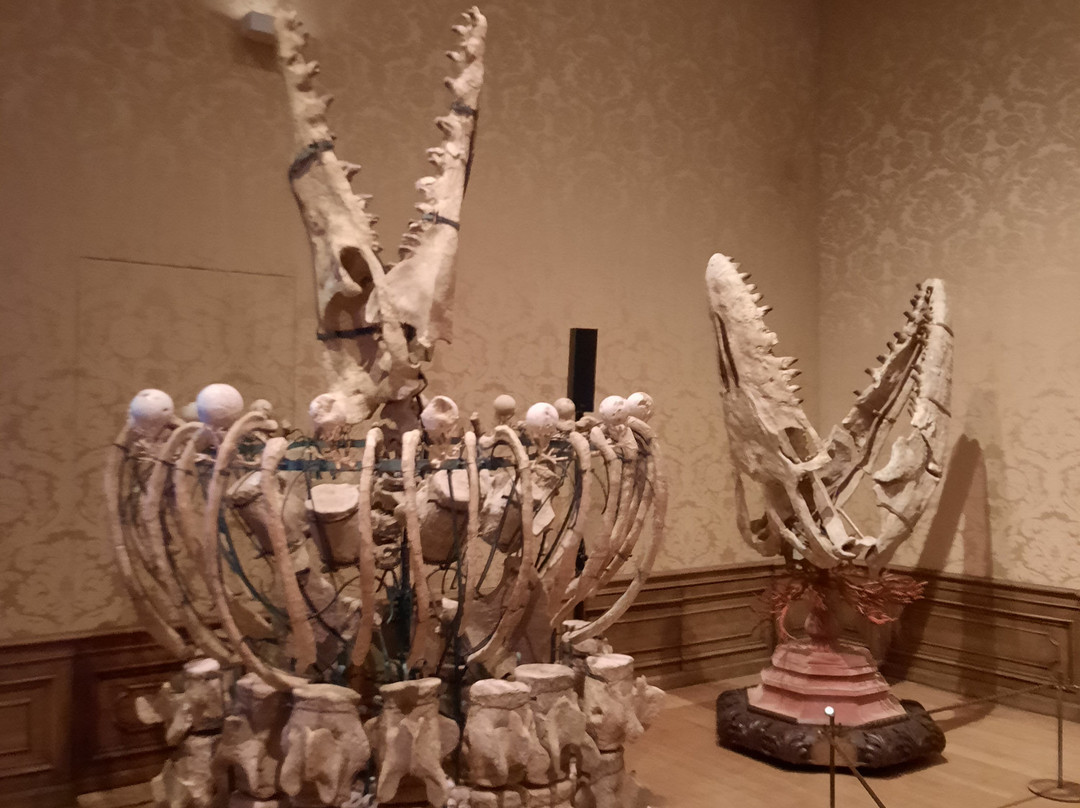 Art Zoo Museum-阿姆斯特丹必去景点