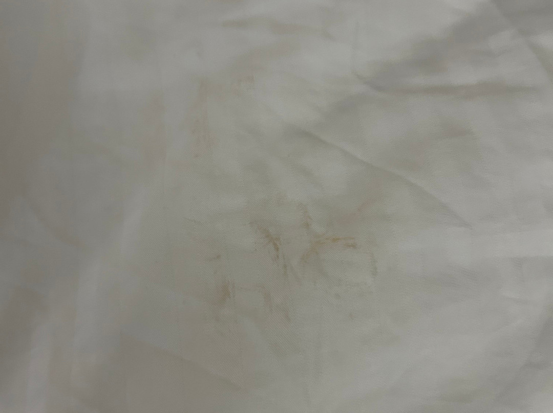 鲍灵格林贝斯特韦斯特优质酒店主图