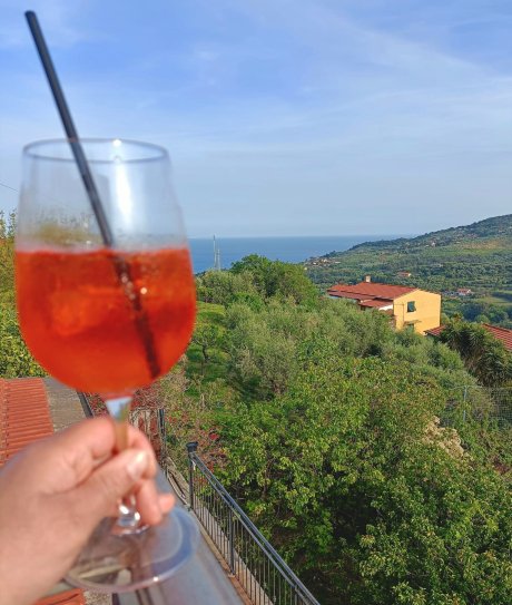 利里昂那迪安诺玛里纳酒店-旅行者