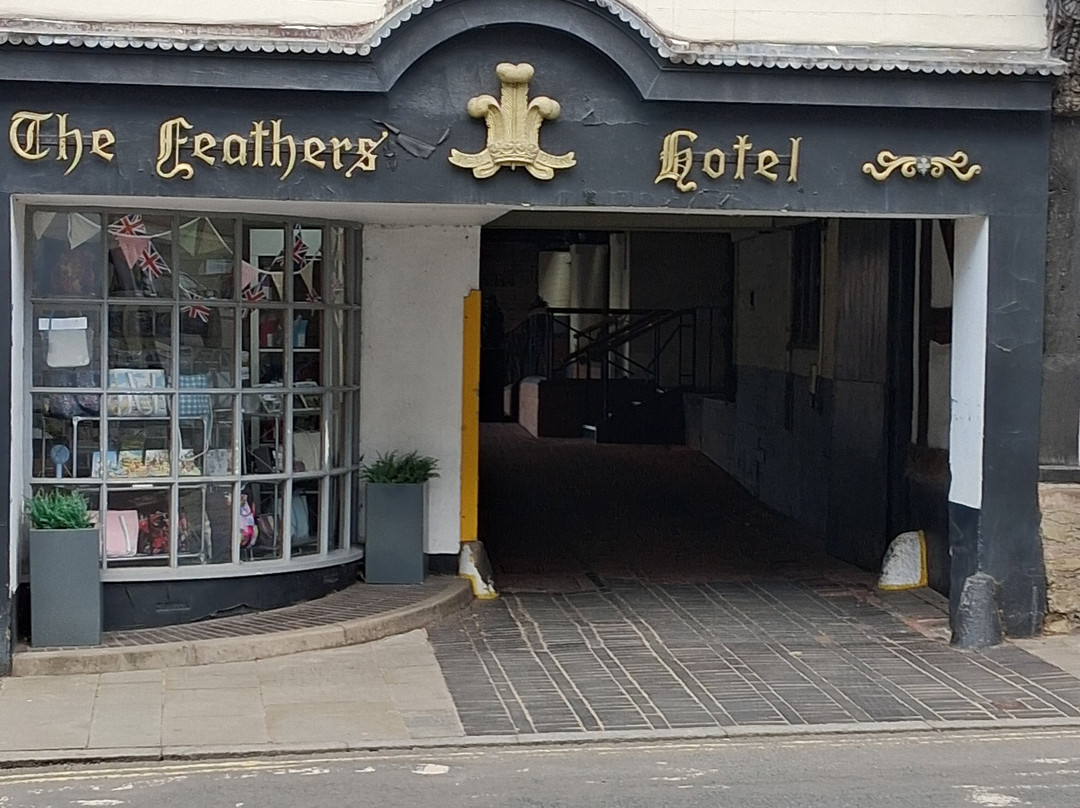 羽毛酒店主图