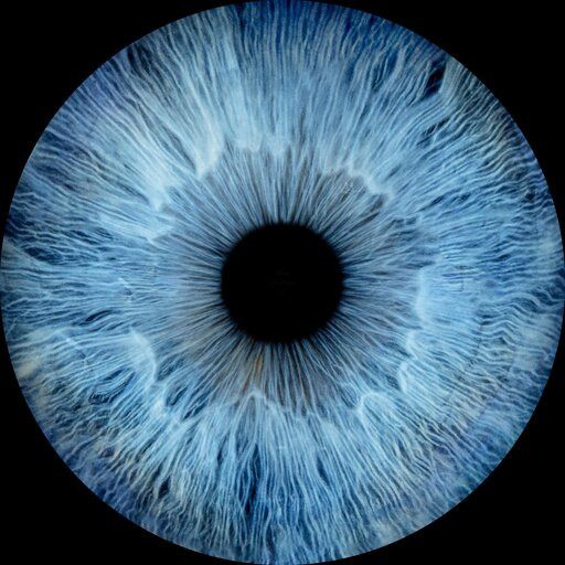 Iris Galerie Maastricht-马斯特里赫特必去景点