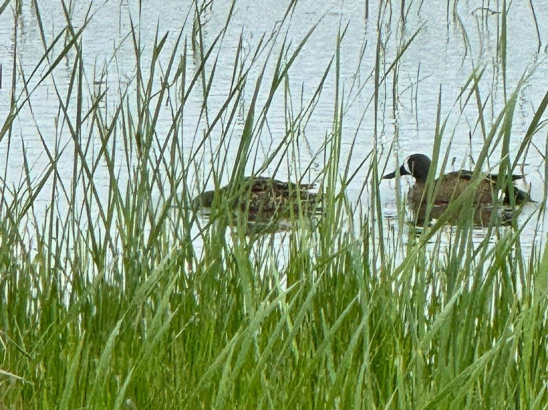 Hagerman National Wildlife Refuge-Sherman必去景点