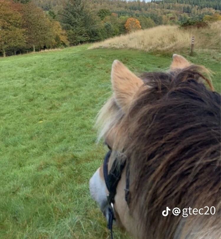 Derbyshire Pony Trekking-Mansfield必去景点