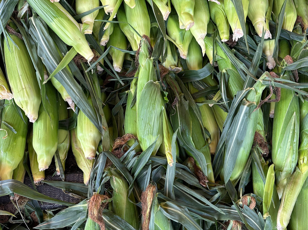 Bedner's Farm Fresh Market-德拉海滩必去景点