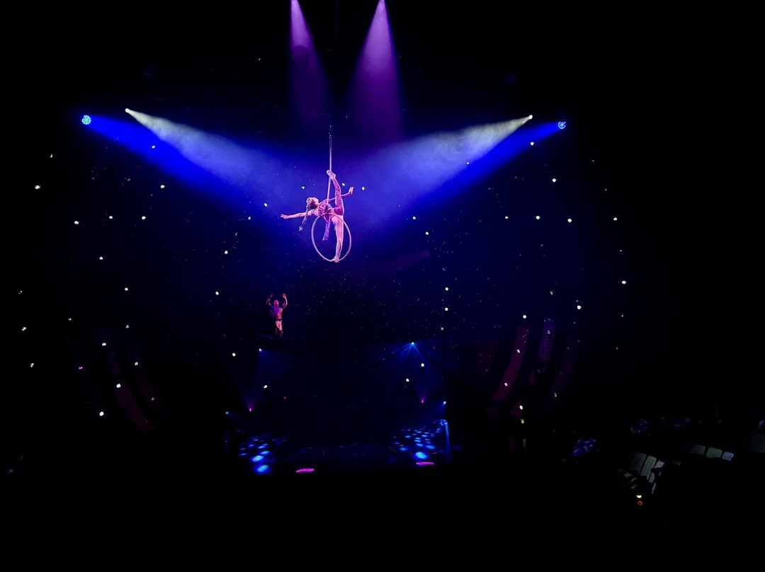 Cirque du Soleil 'Auana-火奴鲁鲁必去景点