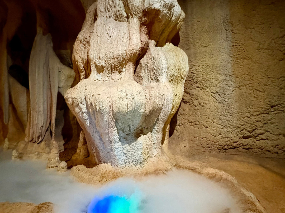 Tamborine Mountain Glow Worm Caves-丹百林山必去景点
