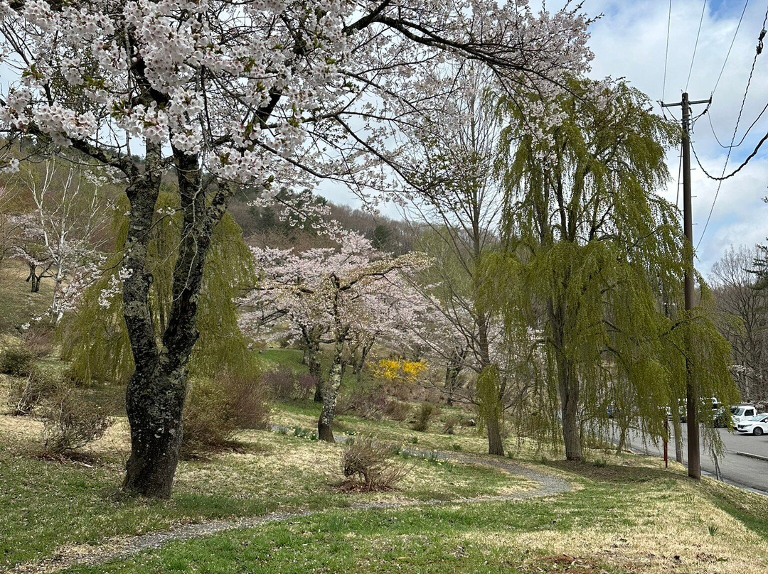 Fudo Falls-八幡平市必去景点
