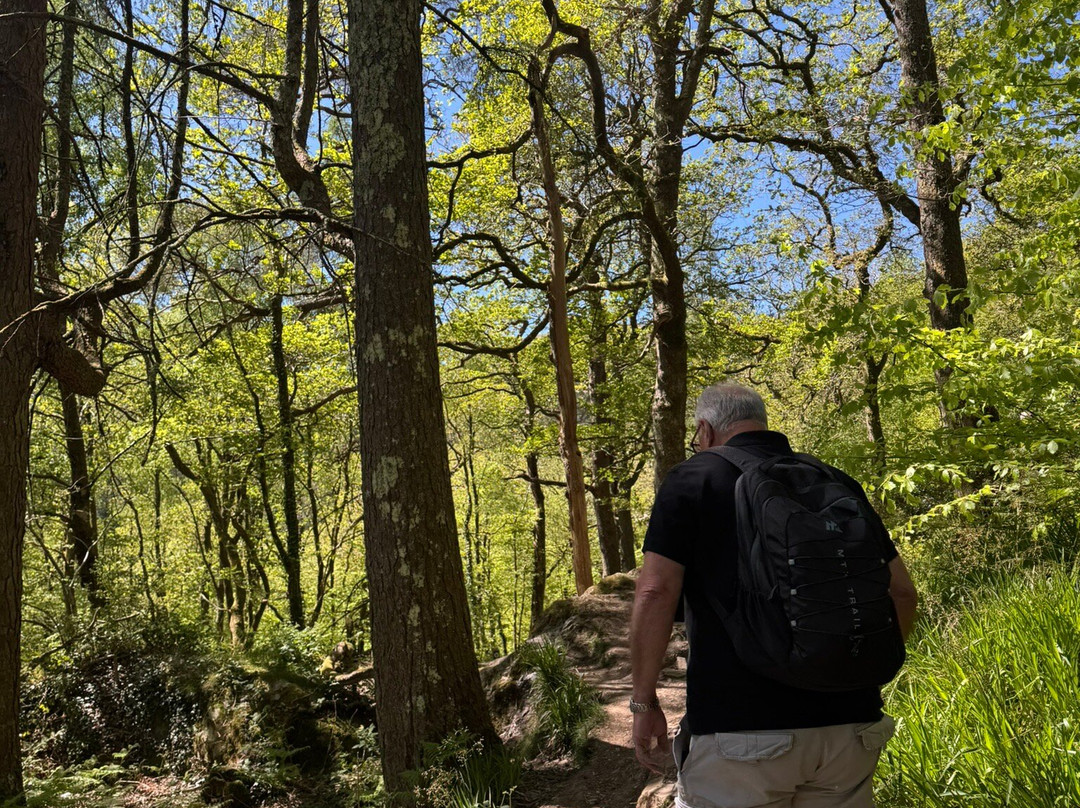 Aberglaslyn Pass-Beddgelert必去景点