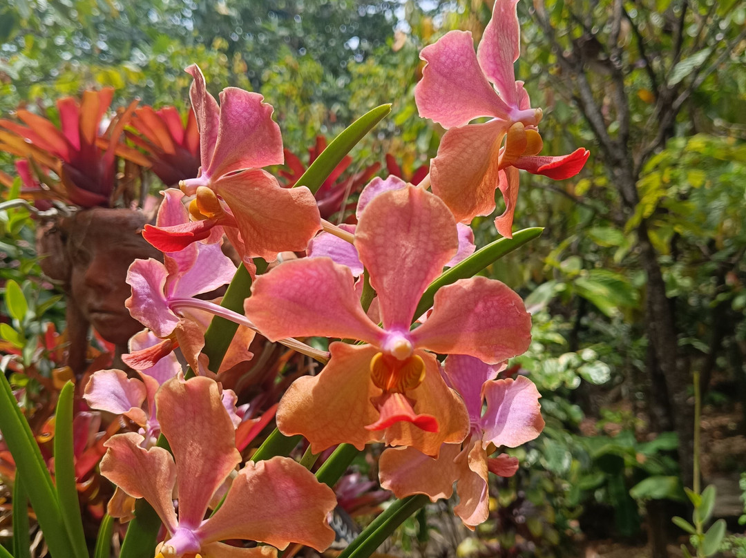 La Maison du Cacao-Pointe-Noire必去景点