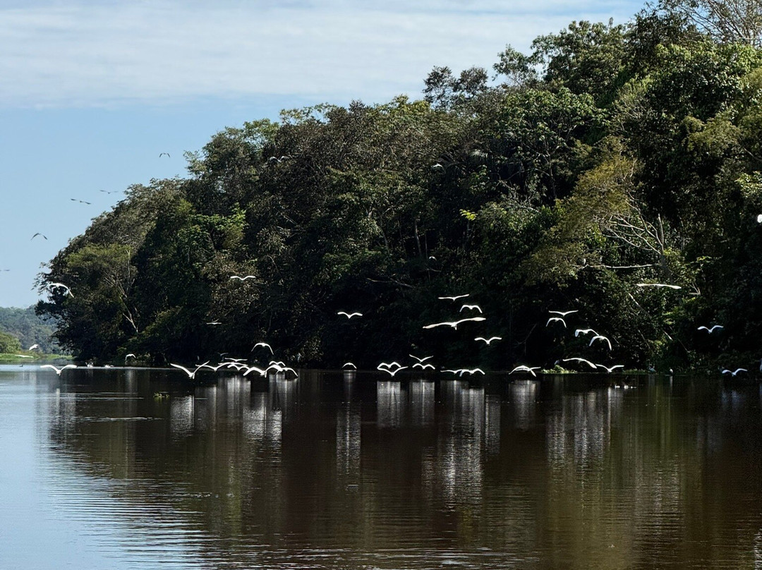 Amazon Fronteras Jungle Tours-莱蒂西亚必去景点