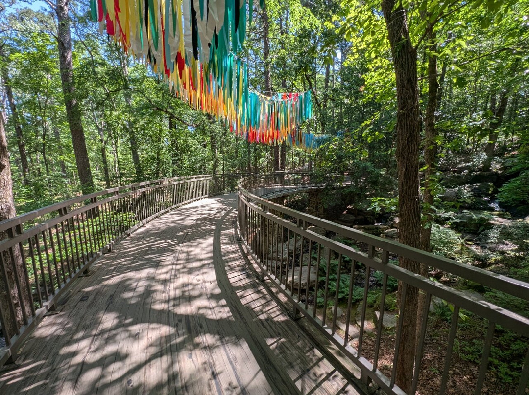 Garvan Woodland Gardens-温泉城必去景点