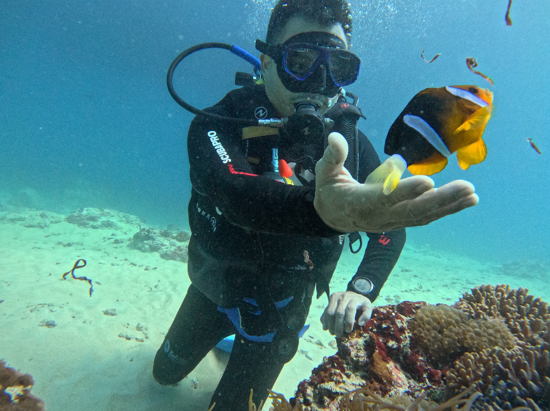 Bali Hai Diving Adventures-蓝梦岛必去景点