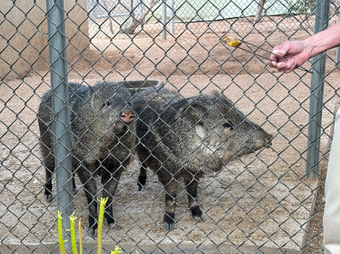 Southwest Wildlife Conservation Center-斯科茨代尔必去景点