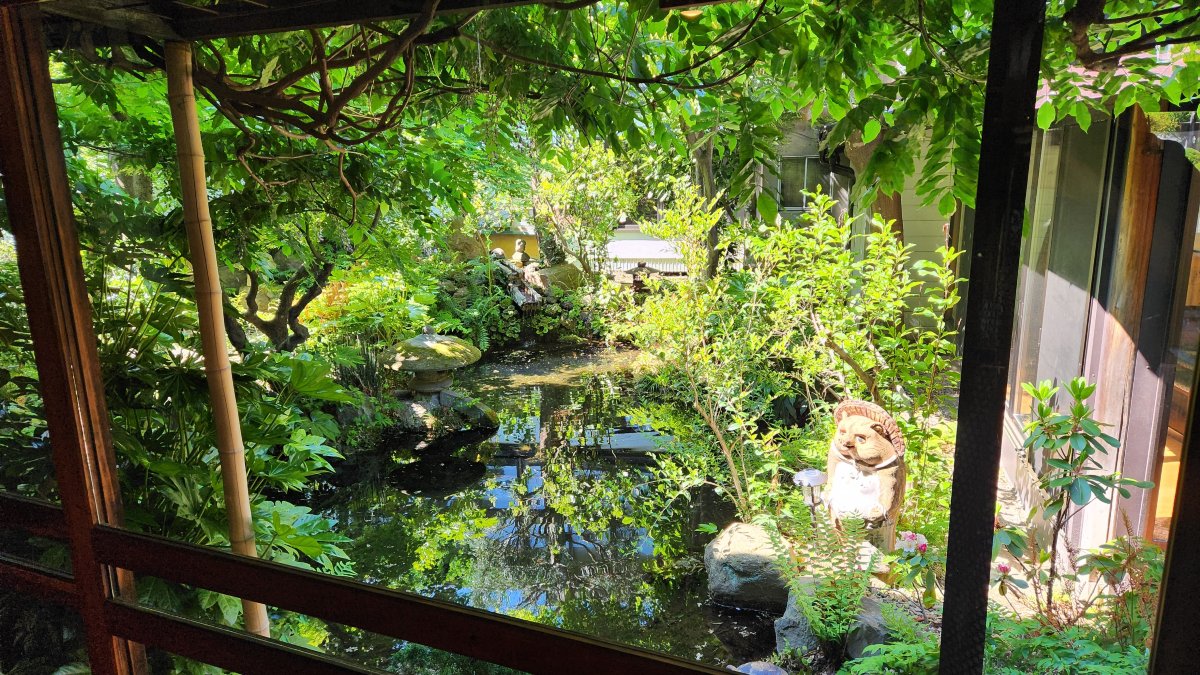 龟清旅馆日式旅馆-旅行者