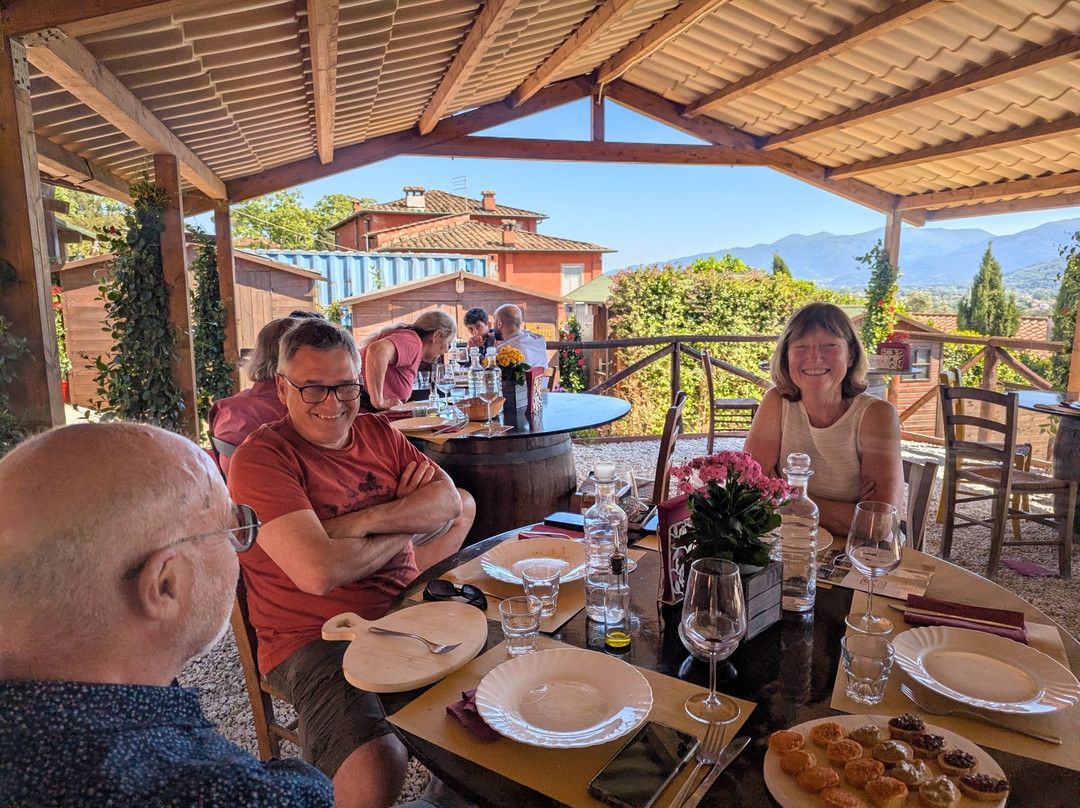 Fattoria Al Dotto-卢卡必去景点