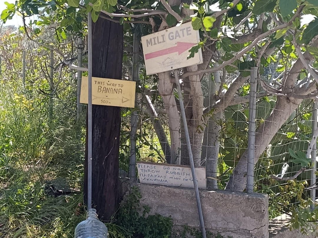Gorge of Mili-Myli必去景点