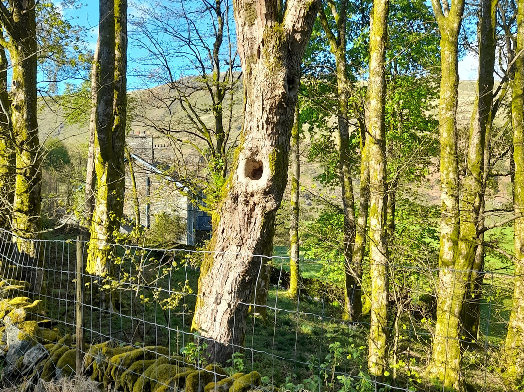 Kentmere Reservoir-Kentmere必去景点