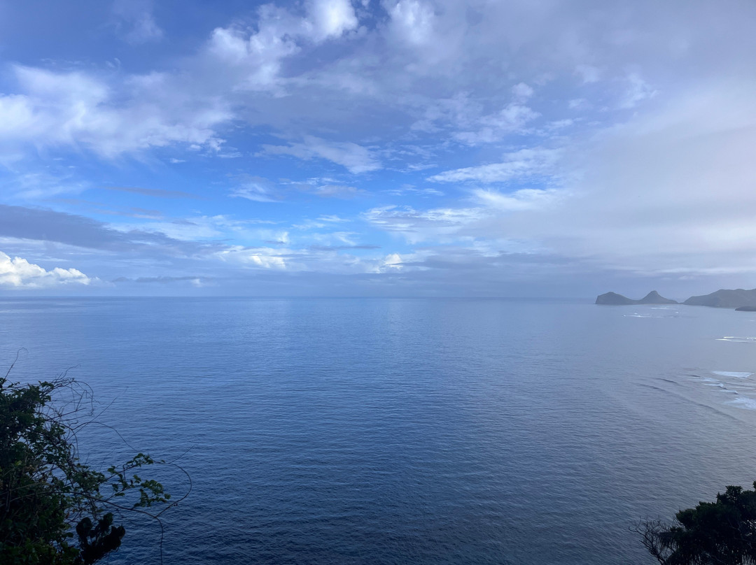 Lord Howe Environmental Tours-豪勋爵群岛必去景点