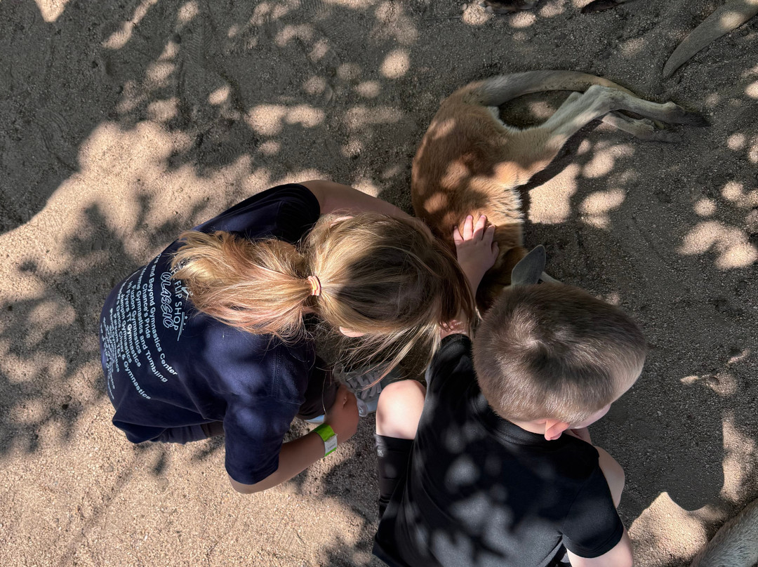 Tanganyika Wildlife Park-Goddard必去景点