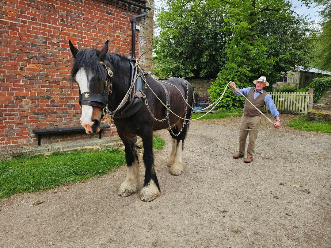 Acton Scott Heritage Farm-Acton Scott必去景点