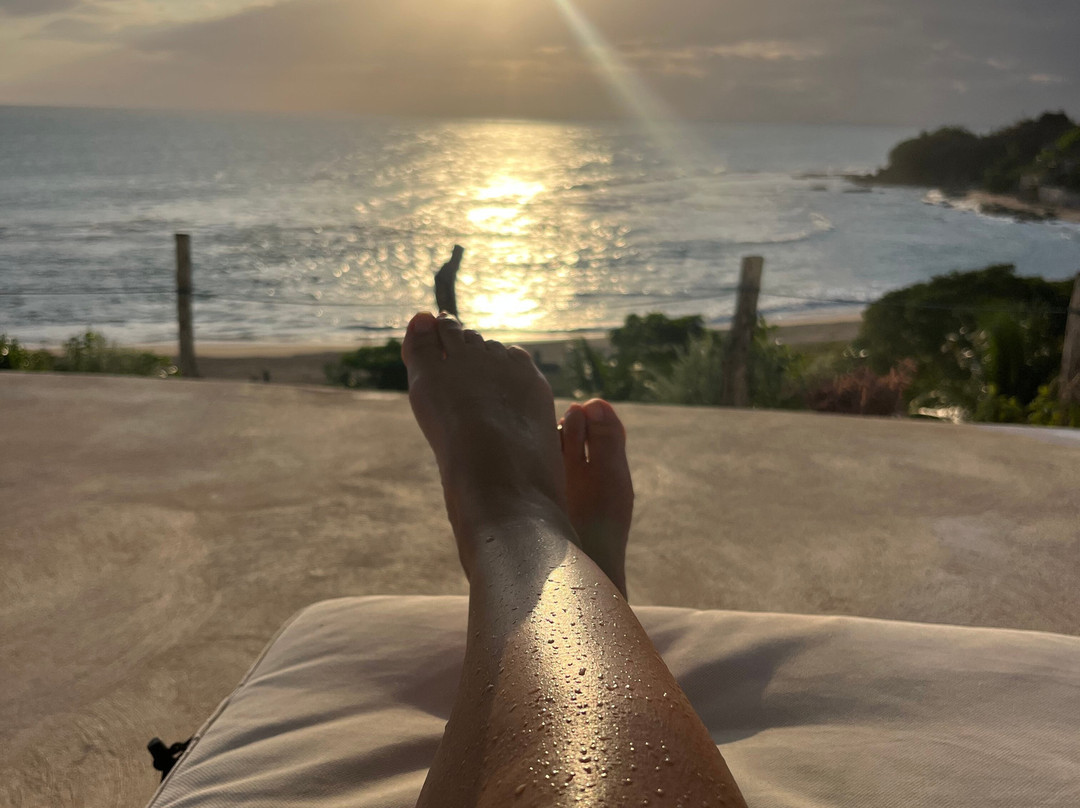 MycoMeditations Psilocybin-Assisted Retreats-瑰宝滩必去景点