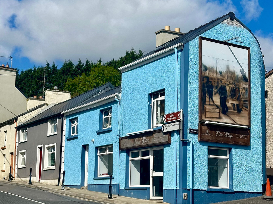 Luxury Irish Tours-戈尔韦必去景点