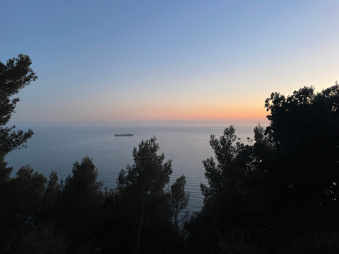 B&B Al Cavalluccio Marino