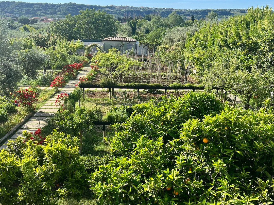 TEMA Relais - Tenuta Masciangelo