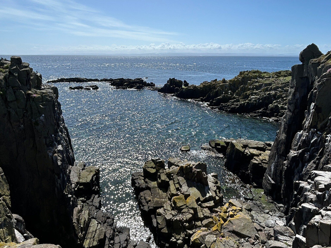 Isle Of May Boat Trips-Anstruther必去景点