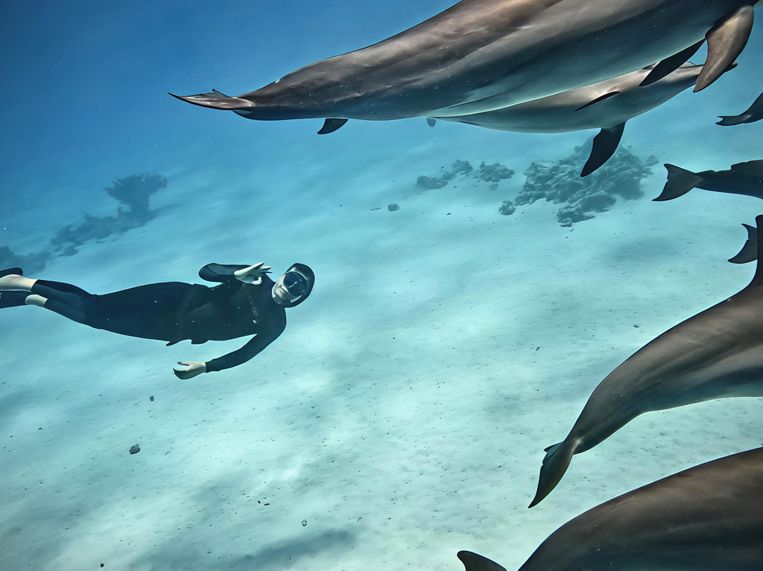 Marsa Alam Tours-马萨阿拉姆必去景点