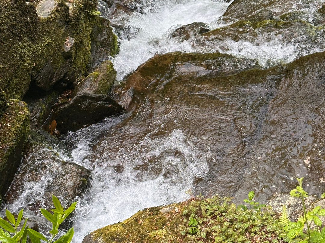 Glen Lyn Gorge-林茅斯必去景点