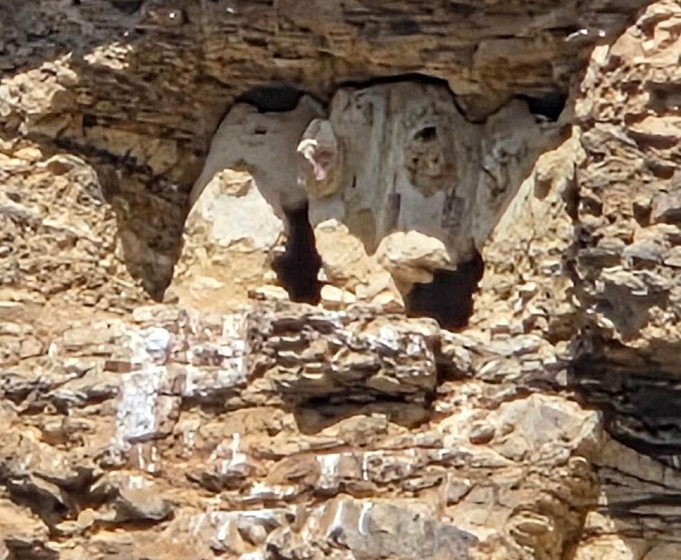 Sarcofagos de Karajia-Chachapoyas必去景点