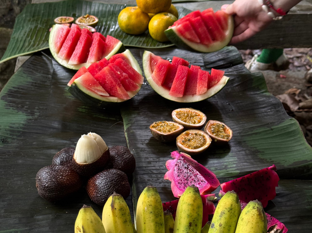 Sumatra Tour Adventures-武吉拉旺必去景点