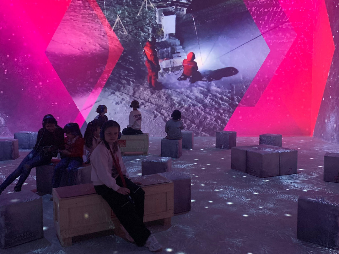 POLAR EXPERIENCE - Die Immersive Ausstellung über die Arktis und Antarktis