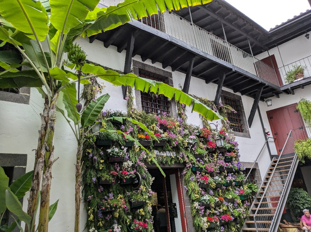 Blandy's Wine Lodge-沙尔必去景点