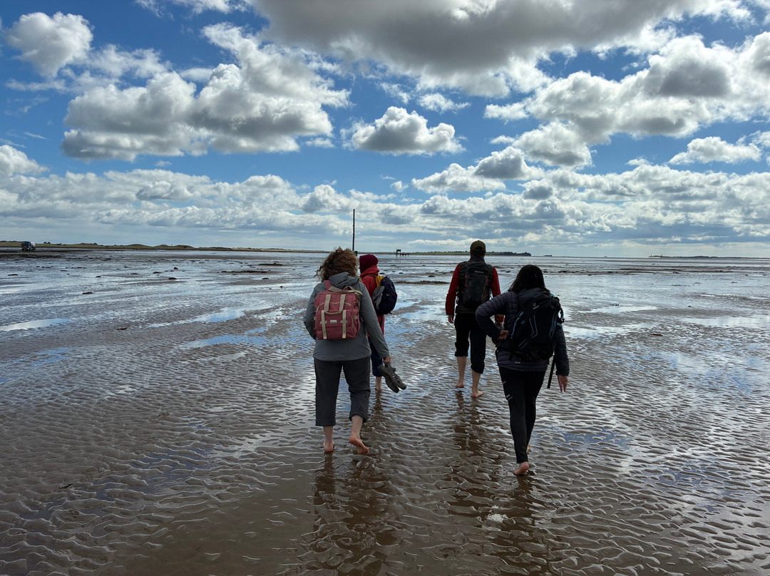 Footsteps - Walking the beauty of Northumberland-Belford必去景点