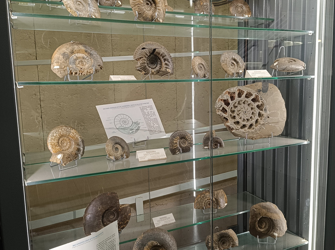 Musée des Mines de fer à Neufchef-Neufchef必去景点