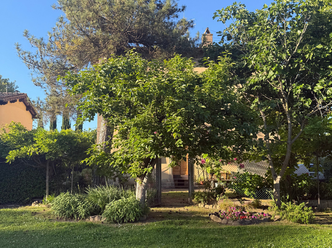 Agriturismo Il Trebbio主图