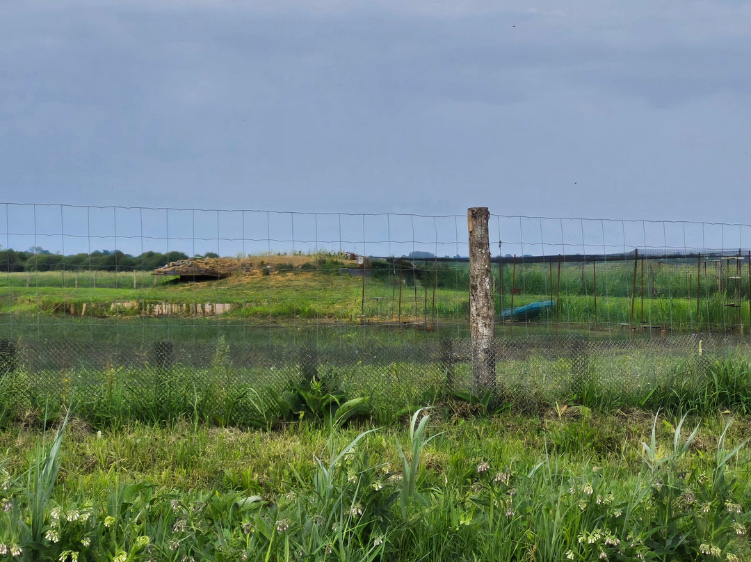 Bateliers du Cotentin-Saint Hilaire Petitville必去景点