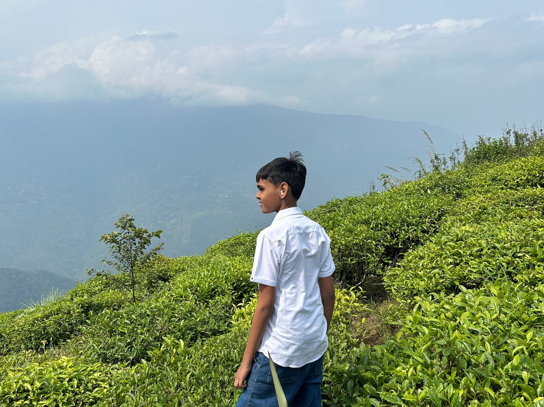 Gujju Tour Pvt. Ltd.-Bilimora必去景点