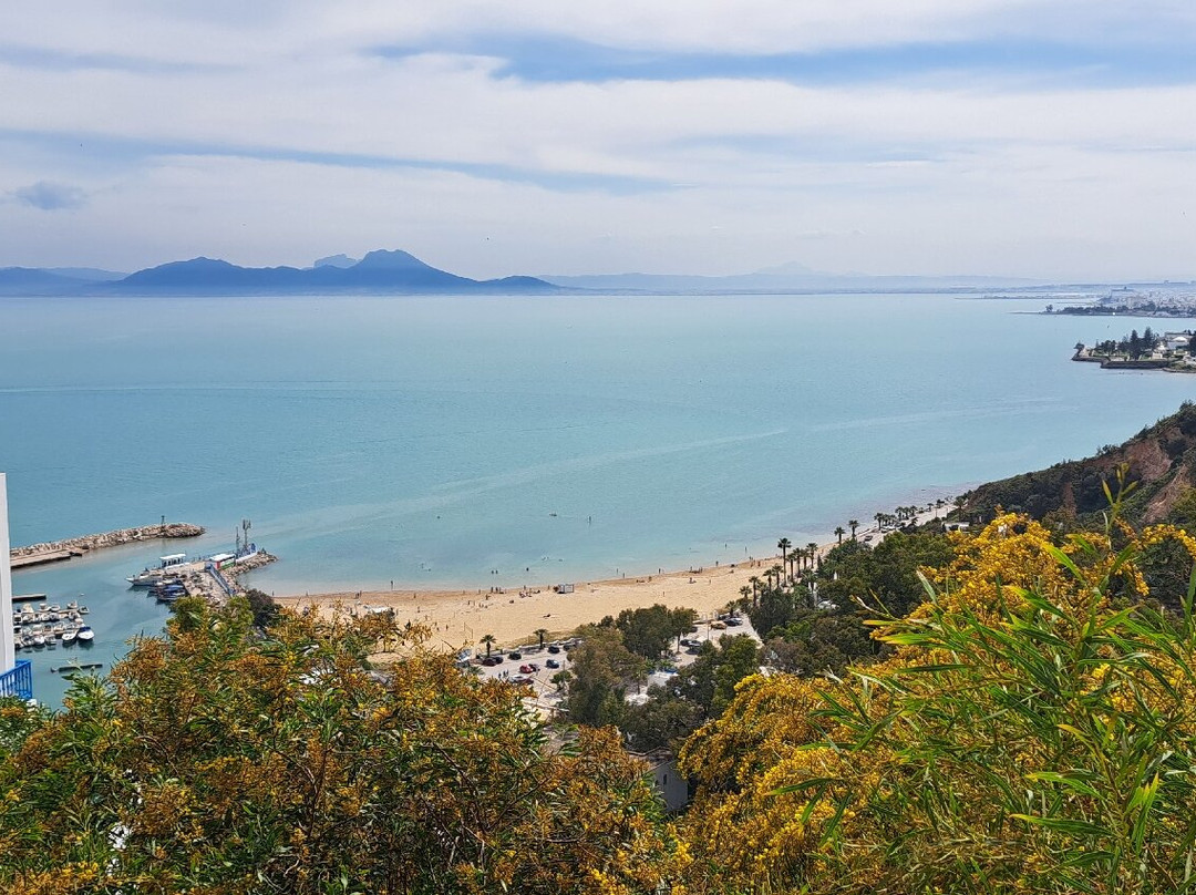 Sidi Bou Said Village-蓝白小镇必去景点