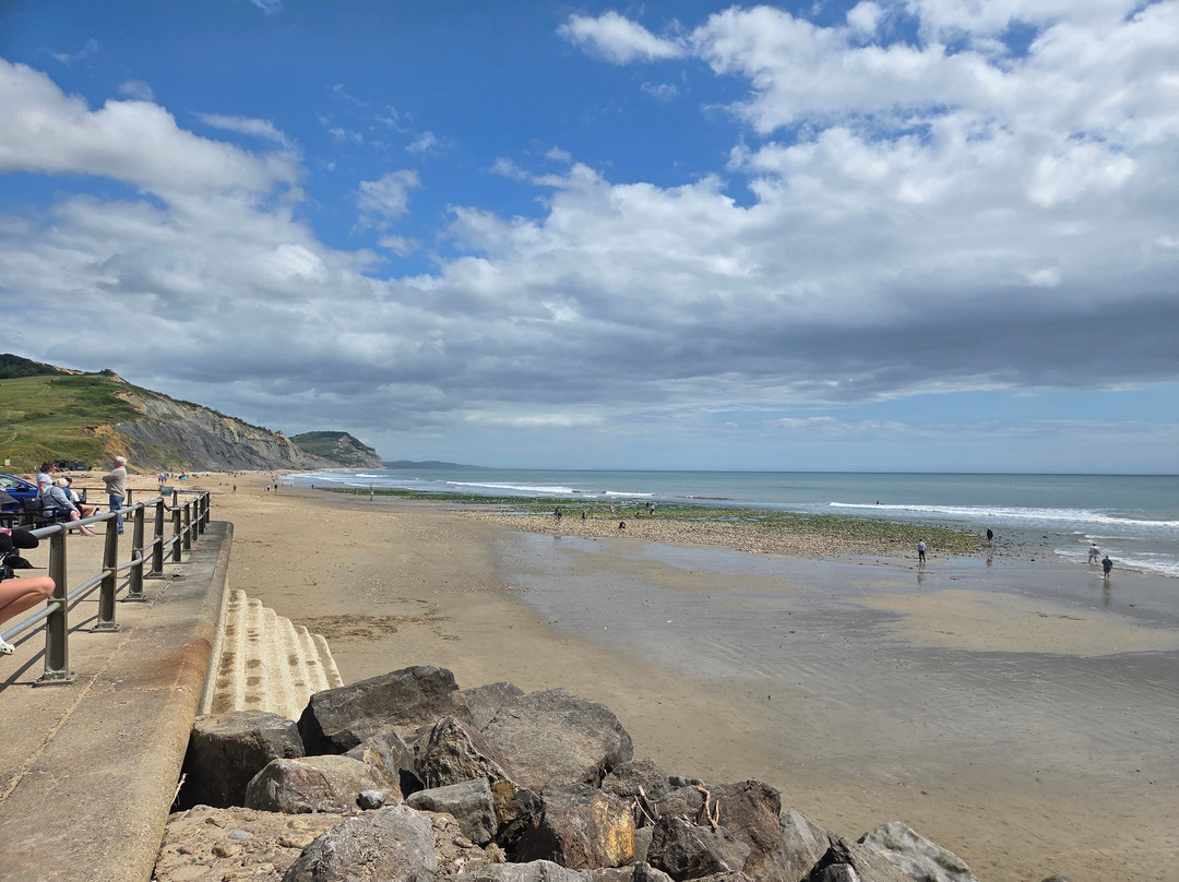 Jurassic Coast Guides-Charmouth必去景点