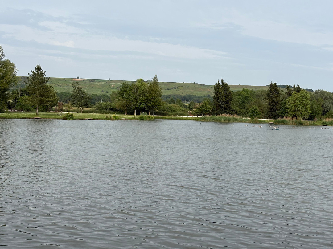 Wold View Fisheries & Leisure Park