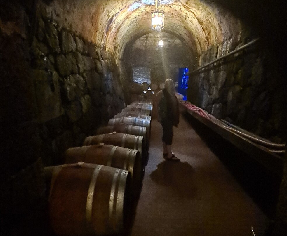 Castello Rametz - Wine Museum-梅拉诺必去景点