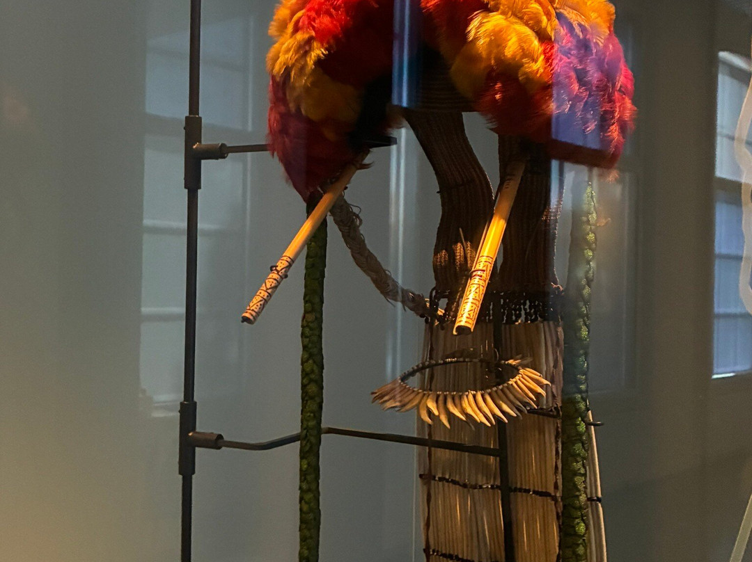 Wereldmuseum Leiden-莱顿必去景点