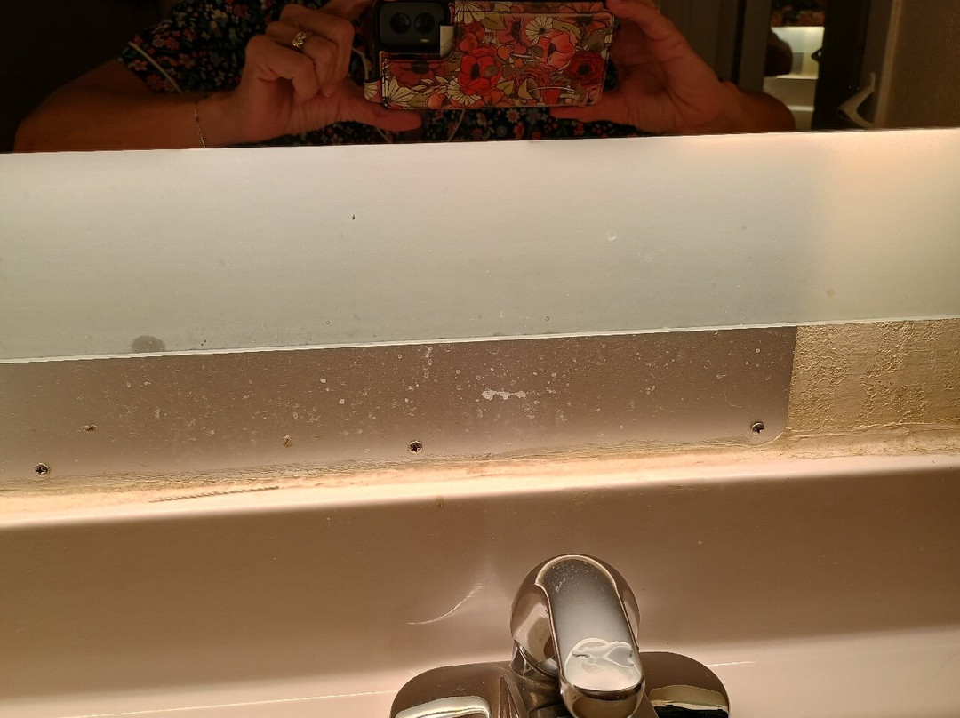 斯丹顿温德姆豪生酒店主图