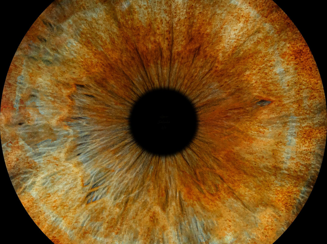 Iris Galerie Maastricht