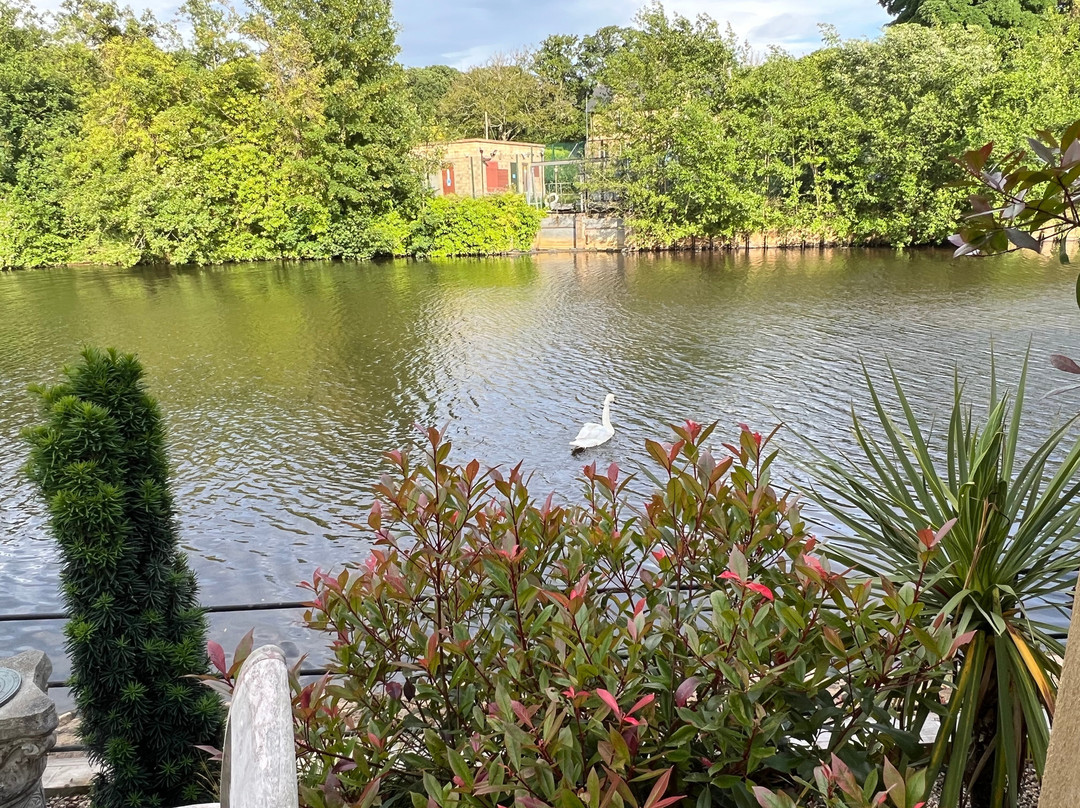 The Waterside Ruswarp